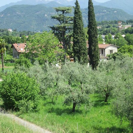 Agriturismo Bonu Gabriele Salò Exterior foto