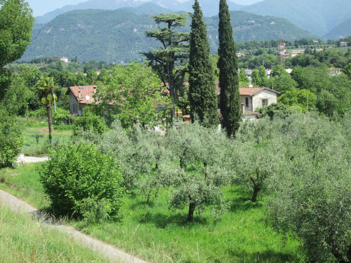 Agriturismo Bonu Gabriele Salò Exterior foto